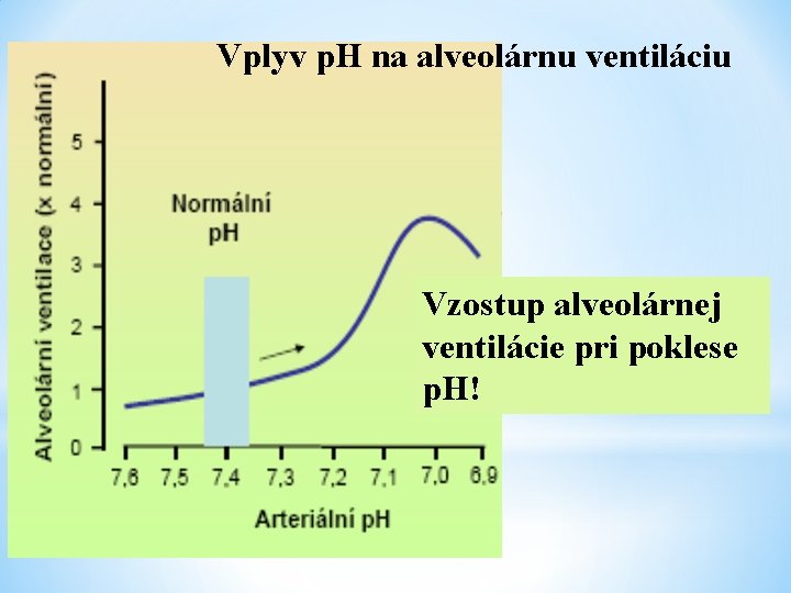 Vplyv p. H na alveolárnu ventiláciu Vzostup alveolárnej ventilácie pri poklese p. H! 