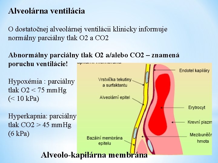 Alveolárna ventilácia O dostatočnej alveolárnej ventilácii klinicky informuje normálny parciálny tlak O 2 a