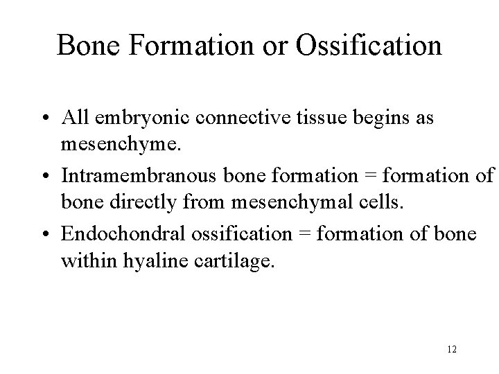 Bone Formation or Ossification • All embryonic connective tissue begins as mesenchyme. • Intramembranous