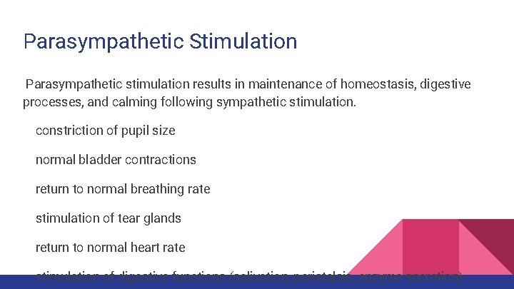 Parasympathetic Stimulation Parasympathetic stimulation results in maintenance of homeostasis, digestive processes, and calming following
