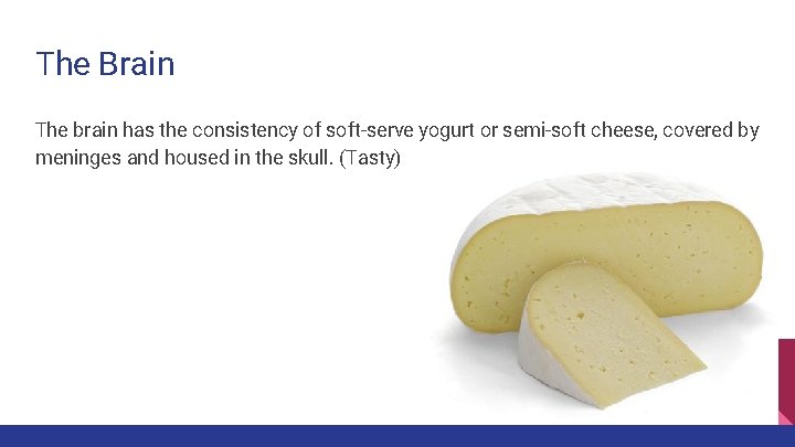 The Brain The brain has the consistency of soft-serve yogurt or semi-soft cheese, covered