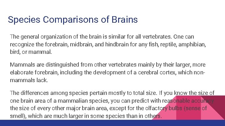 Species Comparisons of Brains The general organization of the brain is similar for all