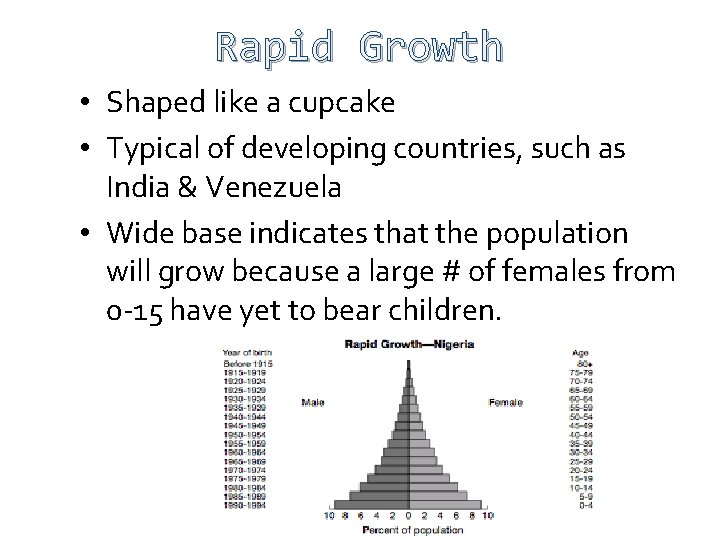 Rapid Growth • Shaped like a cupcake • Typical of developing countries, such as