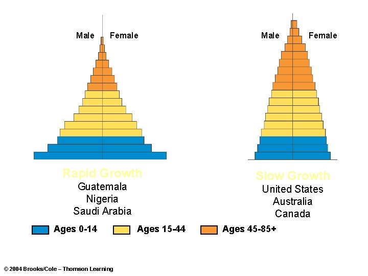 Male Female Rapid Growth Guatemala Nigeria Saudi Arabia Ages 0 -14 © 2004 Brooks/Cole