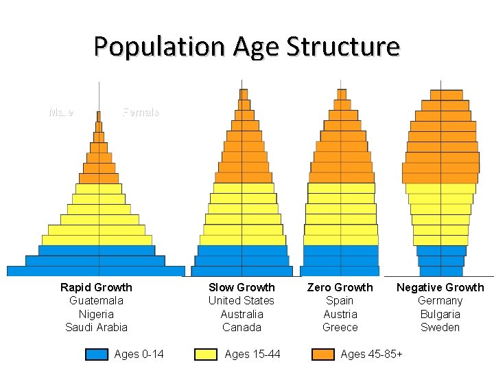 Population Age Structure Male Female Rapid Growth Guatemala Nigeria Saudi Arabia Ages 0 -14