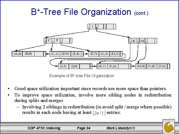 B+-Tree File Organization (cont. ) Example of B+-tree File Organization • Good space utilization
