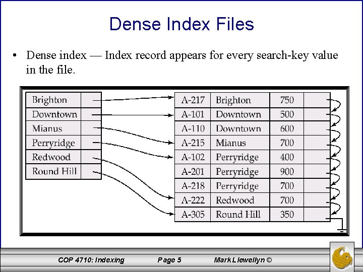 Dense Index Files • Dense index — Index record appears for every search-key value