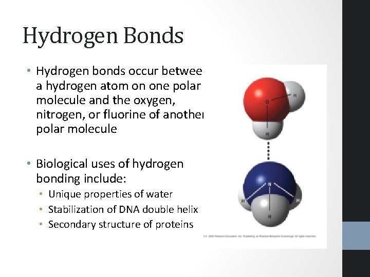 Hydrogen Bonds • Hydrogen bonds occur between a hydrogen atom on one polar molecule