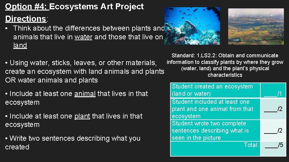 Option #4: Ecosystems Art Project Directions: • Think about the differences between plants and