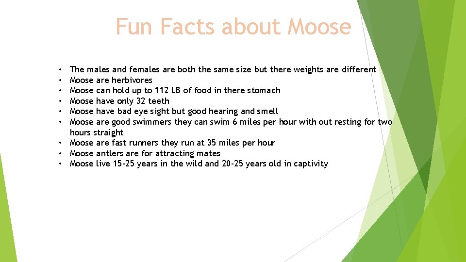 Fun Facts about Moose The males and females are both the same size but