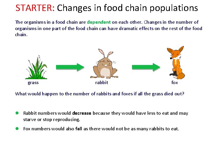 STARTER: Changes in food chain populations The organisms in a food chain are dependent