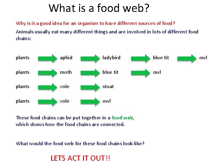 What is a food web? Why is it a good idea for an organism