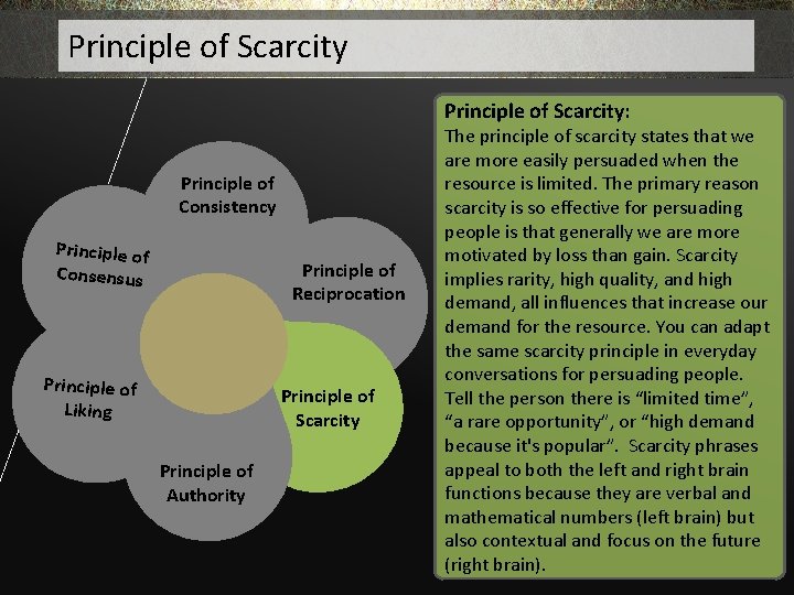 Principle of Scarcity: Principle of Consistency Principle of Consensus Principle of Reciprocation Principle of