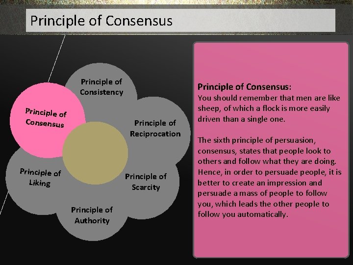 Principle of Consensus Principle of Consistency Principle of Consensus: Principle of Reciprocation Principle of