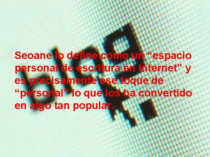 Seoane lo define como un “espacio personal de escritura en Internet” y es precisamente