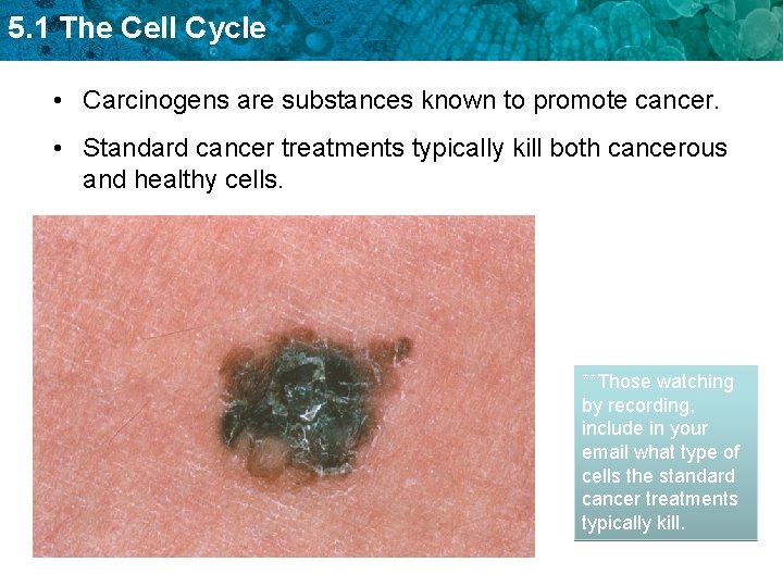 5. 1 The Cell Cycle • Carcinogens are substances known to promote cancer. •