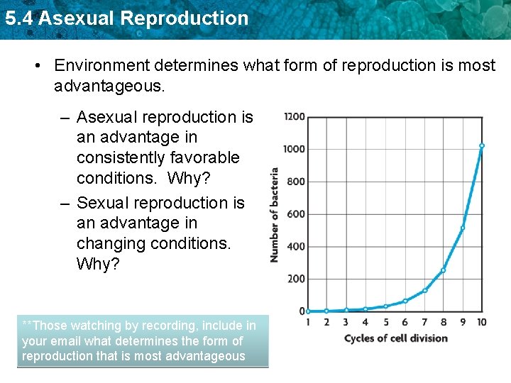 5. 4 Asexual Reproduction • Environment determines what form of reproduction is most advantageous.