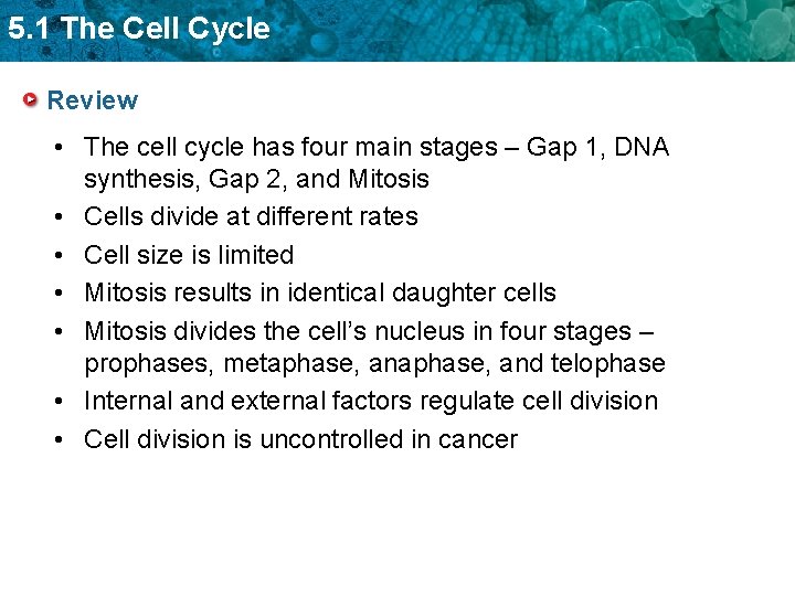 5. 1 The Cell Cycle Review • The cell cycle has four main stages