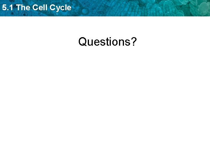 5. 1 The Cell Cycle Questions? 