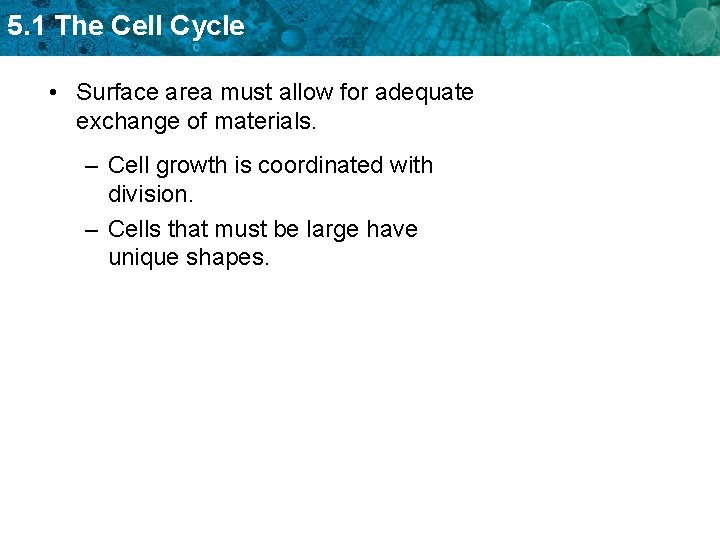 5. 1 The Cell Cycle • Surface area must allow for adequate exchange of