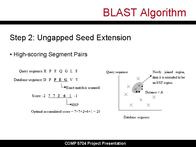 BLAST Algorithm Step 2: Ungapped Seed Extension • High-scoring Segment Pairs COMP 5704 Project BLAST Algorithm Step 2: Ungapped Seed Extension • High-scoring Segment Pairs COMP 5704 Project