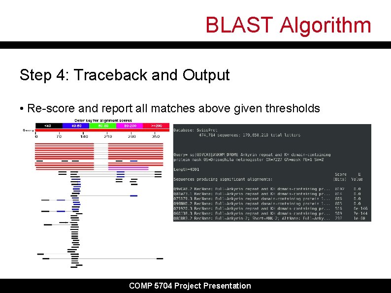BLAST Algorithm Step 4: Traceback and Output • Re-score and report all matches above BLAST Algorithm Step 4: Traceback and Output • Re-score and report all matches above