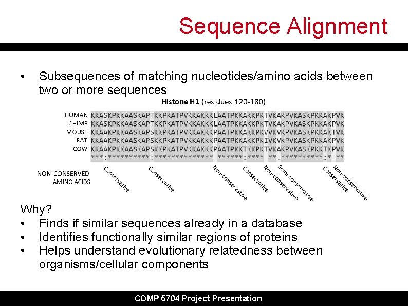 Sequence Alignment • Subsequences of matching nucleotides/amino acids between two or more sequences Why? Sequence Alignment • Subsequences of matching nucleotides/amino acids between two or more sequences Why?