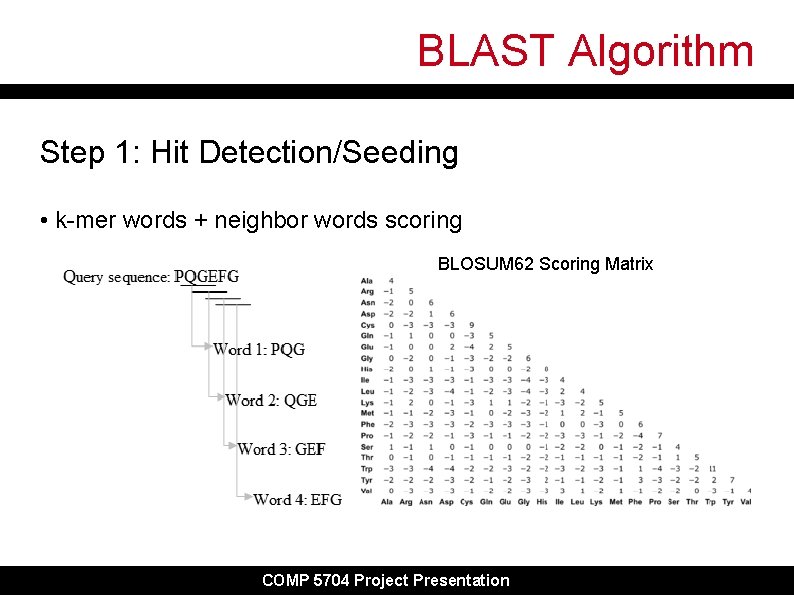 BLAST Algorithm Step 1: Hit Detection/Seeding • k-mer words + neighbor words scoring BLOSUM BLAST Algorithm Step 1: Hit Detection/Seeding • k-mer words + neighbor words scoring BLOSUM