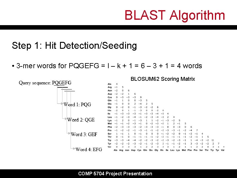 BLAST Algorithm Step 1: Hit Detection/Seeding • 3 -mer words for PQGEFG = l BLAST Algorithm Step 1: Hit Detection/Seeding • 3 -mer words for PQGEFG = l