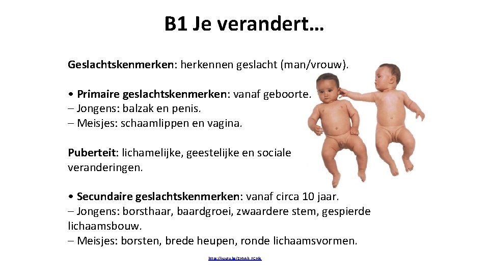 B 1 Je verandert… Geslachtskenmerken: herkennen geslacht (man/vrouw). • Primaire geslachtskenmerken: vanaf geboorte. –