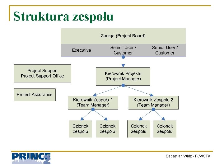 Struktura zespołu Sebastian Widz - PJWSTK 