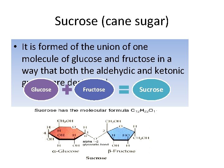 Sucrose (cane sugar) • It is formed of the union of one molecule of