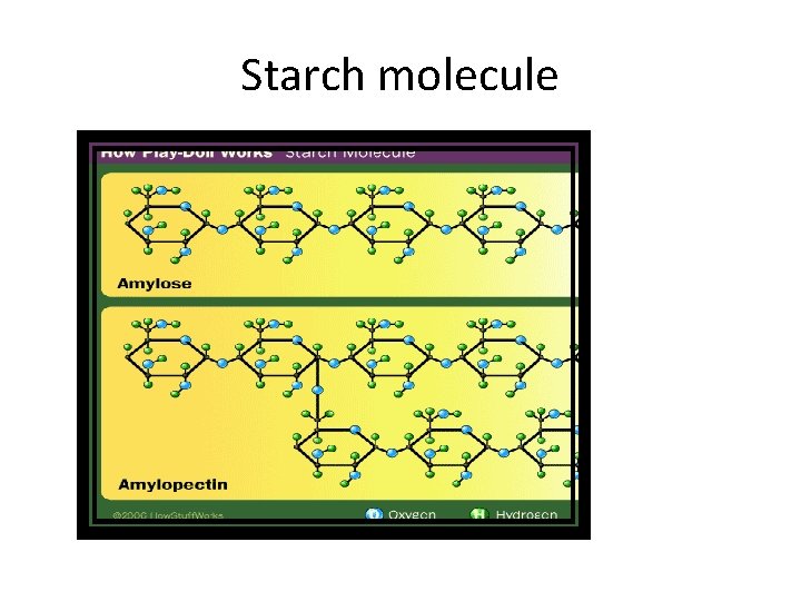 Starch molecule 