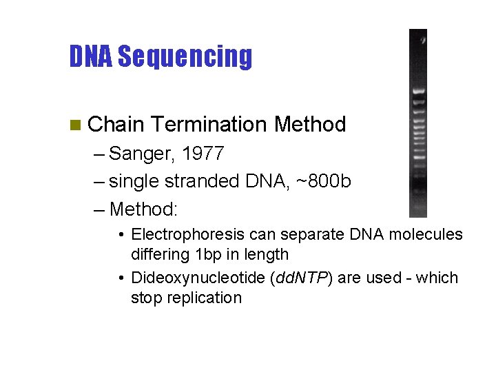 DNA Sequencing n Chain Termination Method – Sanger, 1977 – single stranded DNA, ~800