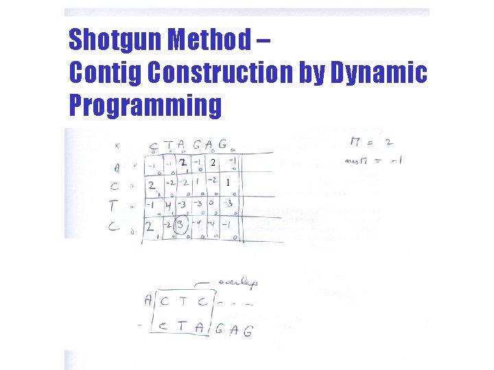 Shotgun Method – Contig Construction by Dynamic Programming 2 1 