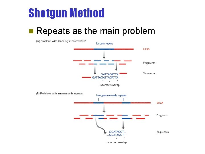 Shotgun Method n Repeats as the main problem 