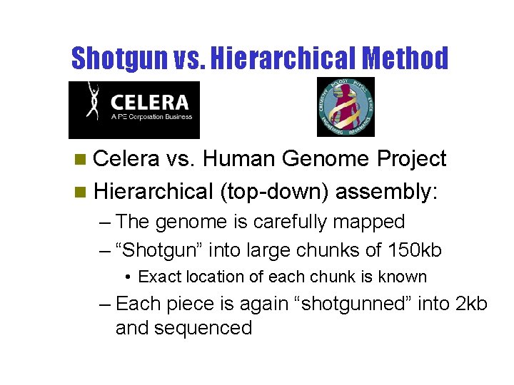 Shotgun vs. Hierarchical Method n Celera vs. Human Genome Project n Hierarchical (top-down) assembly: