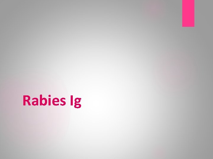 Rabies Ig 