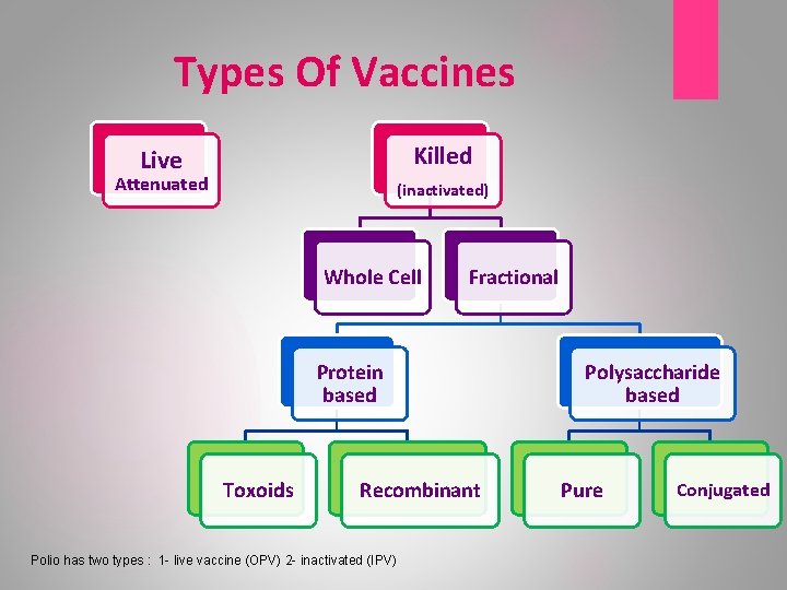 Types Of Vaccines Killed Live Attenuated (inactivated) Whole Cell Fractional Protein based Toxoids Recombinant