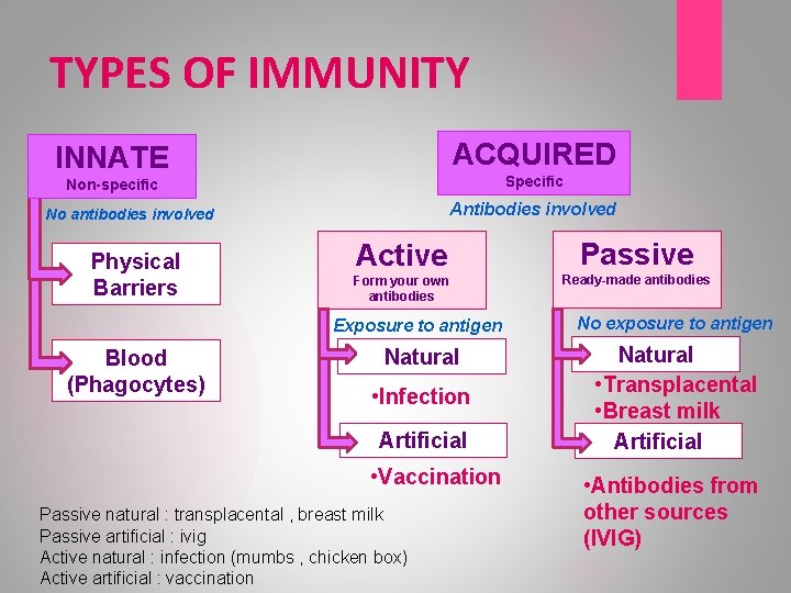 TYPES OF IMMUNITY ACQUIRED INNATE Specific Non-specific Antibodies involved No antibodies involved Physical Barriers