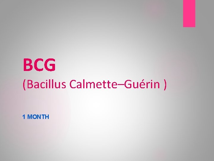 BCG (Bacillus Calmette–Guérin ) 1 MONTH 