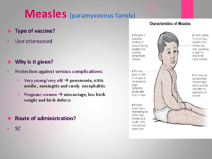 Measles (paramyxovirus family) Type of vaccine? § Live attenuated Why is it given? §