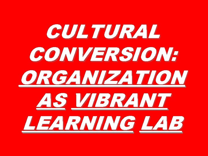 CULTURAL CONVERSION: ORGANIZATION AS VIBRANT LEARNING LAB 
