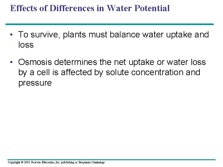 Effects of Differences in Water Potential • To survive, plants must balance water uptake