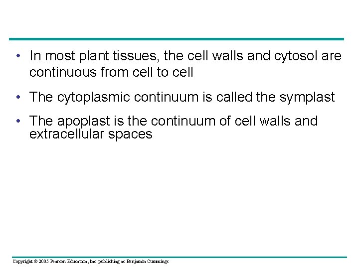  • In most plant tissues, the cell walls and cytosol are continuous from