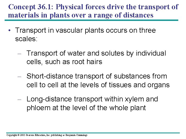 Concept 36. 1: Physical forces drive the transport of materials in plants over a