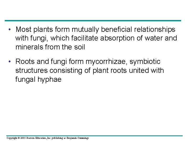  • Most plants form mutually beneficial relationships with fungi, which facilitate absorption of