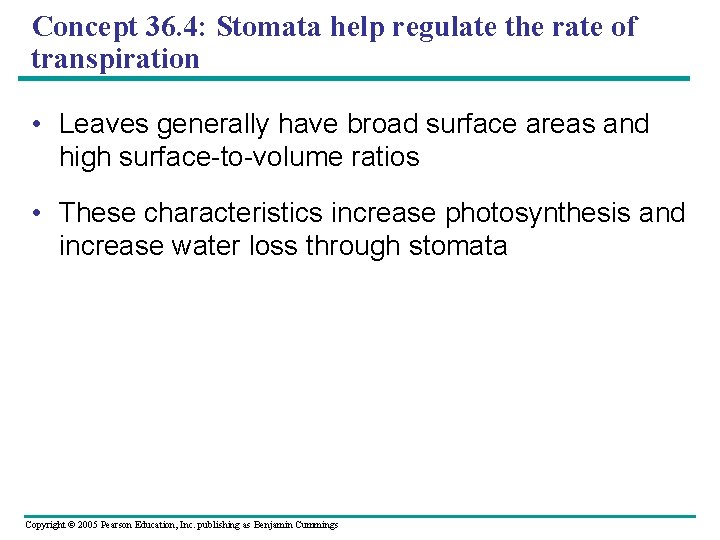 Concept 36. 4: Stomata help regulate the rate of transpiration • Leaves generally have