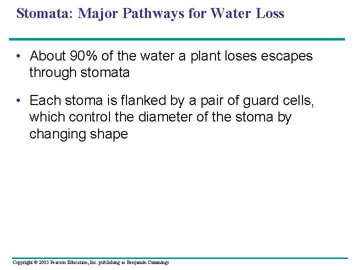 Stomata: Major Pathways for Water Loss • About 90% of the water a plant