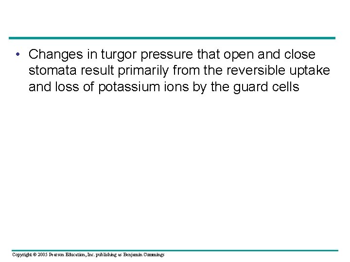  • Changes in turgor pressure that open and close stomata result primarily from